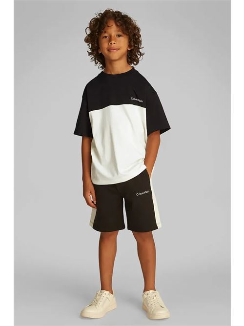 color block t-shirt CALVIN KLEIN JEANS | CKIB0IB02450TBEH